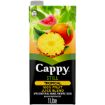 CAPPY FRUIT JUICE TROPICAL