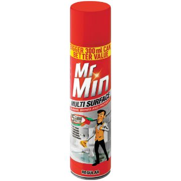 MR MIN MULTI SURFACE POLISH REGULAR300ML