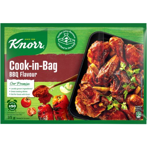 KNORR SPICE COOK COOK IN BAG BARBEQUE 35G