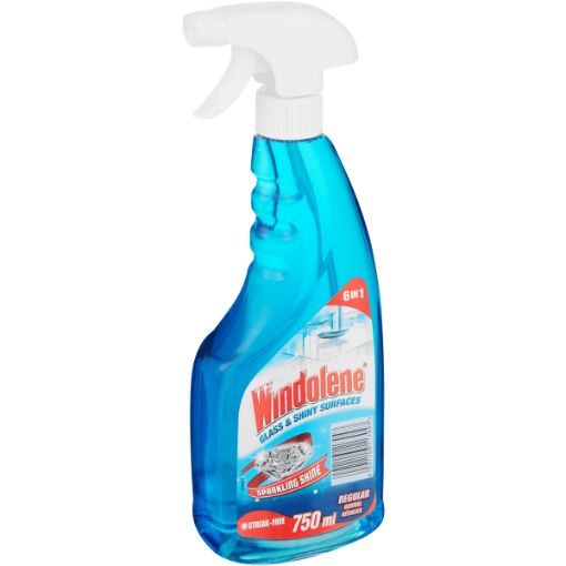 WINDOLENE WINDOW CLEAN TRIGGER 750ML