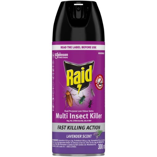 RAID INSECTICIDE DP L/ODOUR 300ML