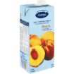 CAMISA FRUIT JUICE JUICE 100% PEACH