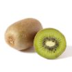 MODEL KIWIFRUIT