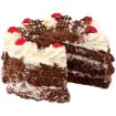 MODEL BLACK FOREST CAKE 3 LAYERS
